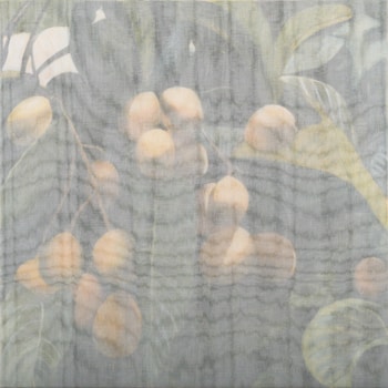 Néflier by Christelle Zacchero