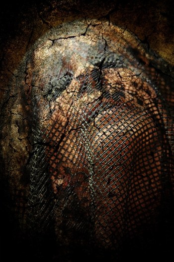 DOUBLE SKIN by Thalie B. Vernet