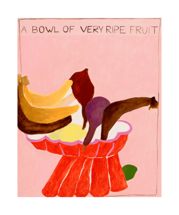 a bowl of very ripe fruit  by Leila Lallali