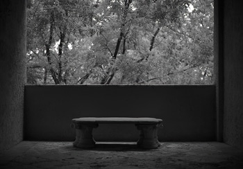 The Evolution Will Not Be Televised by Geoffrey Ansel Agrons