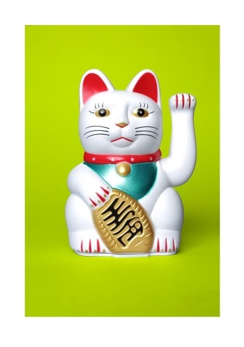 Lime Green Lucky Cat.  by Ian Hoskin