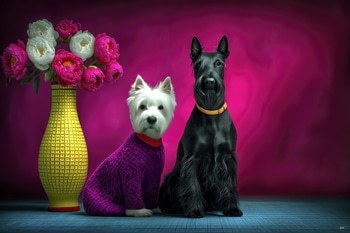 BLACK AND WHITE by HOLLY WATT