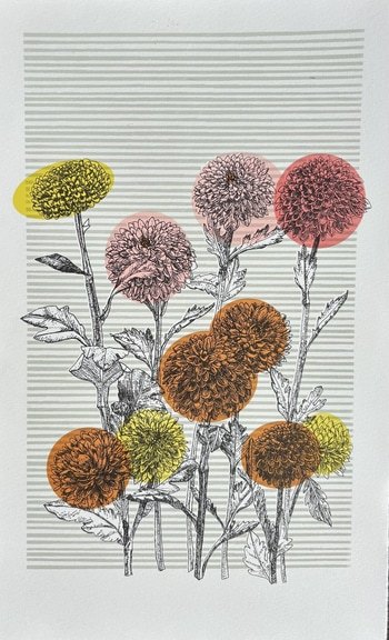 Japanese Chrysanthemum  by Clare Halifax
