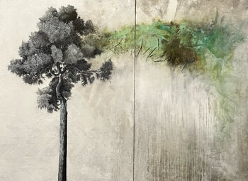 Absorption  par Cyrille Borgnet Dupont