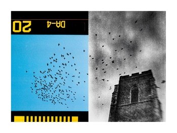 Experimental Farm 01 par Mark Tamer