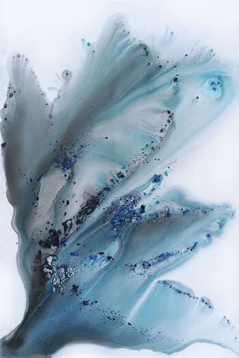 Nature 453 von Muriel Napoli