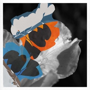 Sora von Jérôme Pergolesi