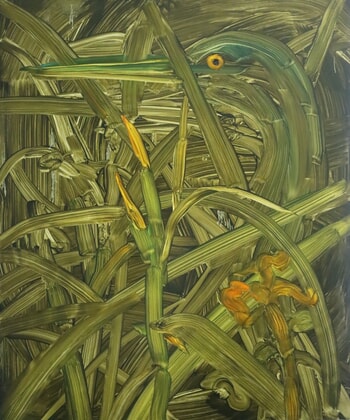 Fen by Barbara Howey