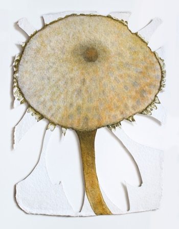 Core (Tenderbeing Series) par Ariadna Dane