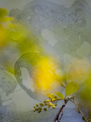 Another Sun by Jérôme Pergolesi