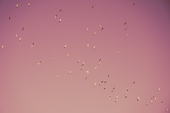 Gulf of Eilat #2 by Tal Paz-Fridman