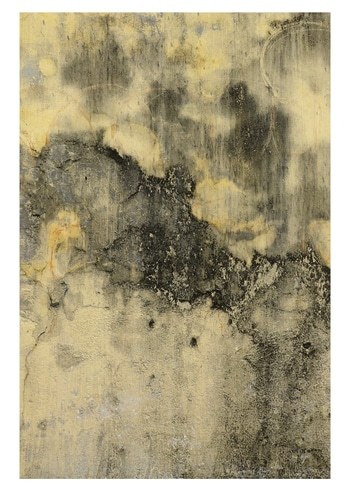 Kol Olungai II - 1 of 10 Limited Edition Photograph by Gina Parr Photography