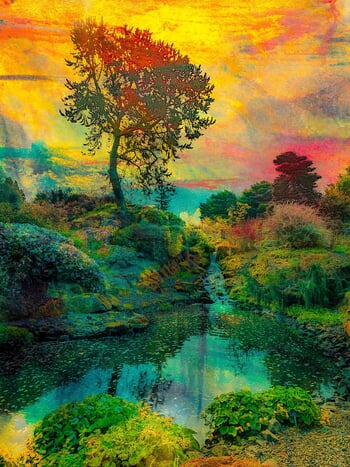 The painted garden by Viet Ha Tran