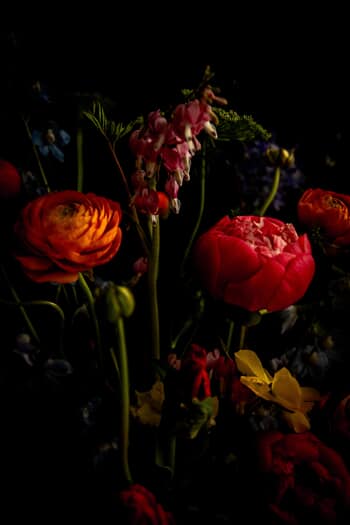 Secret whisper by Viet Ha Tran