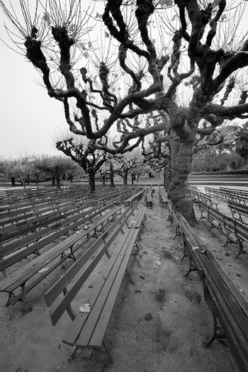 Pollardicon (San Francisco) von Geoffrey Ansel Agrons