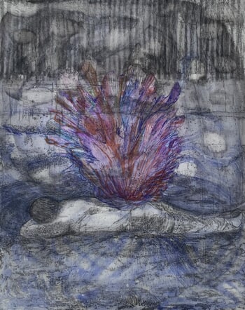 Mollusc by Hannah Turner-Duffin