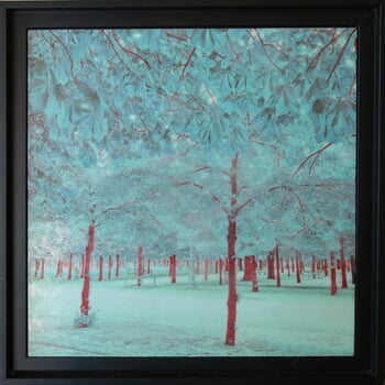 Les Troncs rouges by Gaëlle Cueff