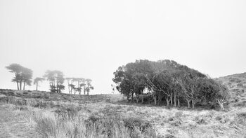 Advection Redux by Geoffrey Ansel Agrons