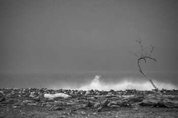 Fila de Desolación by Geoffrey Ansel Agrons