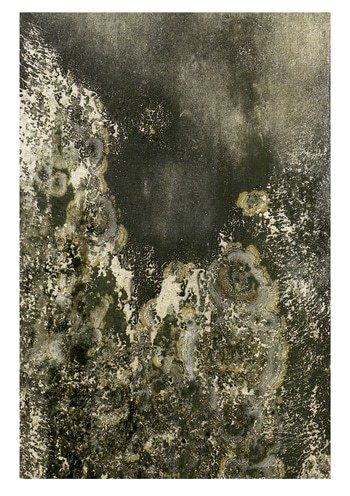 Panappa - 1 of 10 Limited Edition Photograph by Gina Parr Photography