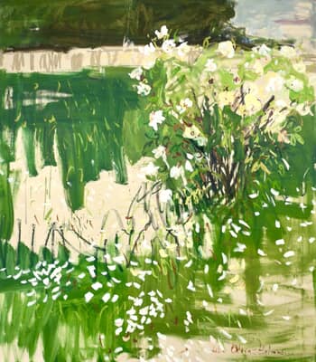 The white rose bush  by Lilia Orlova-Holmes