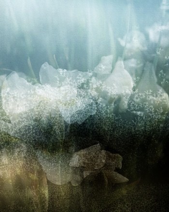 Ea par Jérôme Pergolesi