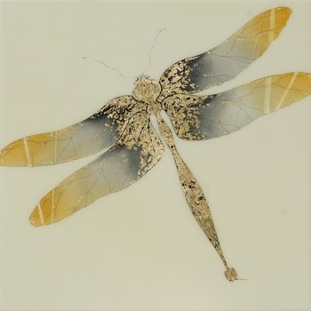 Verity von SARA HABGOOD