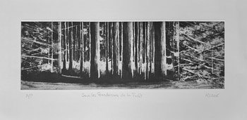 Sous les frondaisons de la forêt  von Nadege Druzkowski