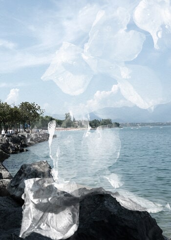 Willow par Jérôme Pergolesi