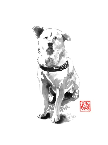 hachiko by Péchane