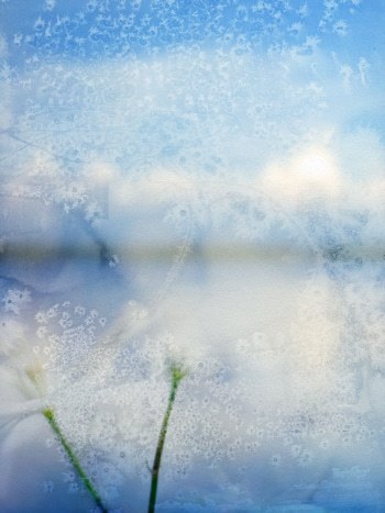 Actée von Jérôme Pergolesi