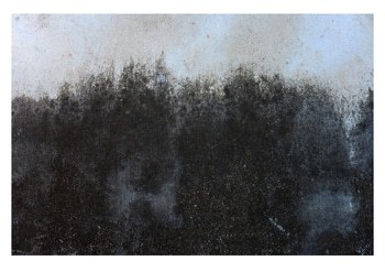 Mirissa I - 1 of 10 Limited Edition Photograph by Gina Parr Photography