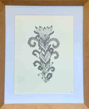 Carnivoralaterra par Clémentine Vauchelet