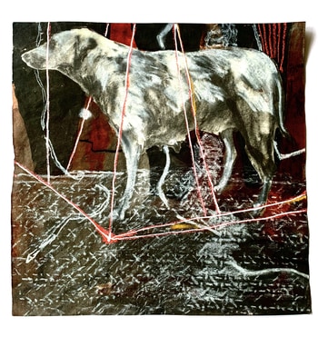 Where The Light Bends  by Hira Gedikoglu