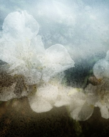 Thalie by Jérôme Pergolesi