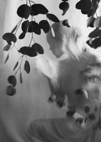  Veiled Whispers - III by Xidong Luo