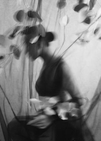  Veiled Whispers - V von Xidong Luo