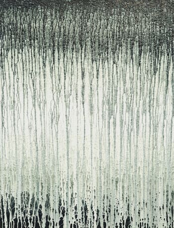 Silver Veils 2024 by Heidi Thompson