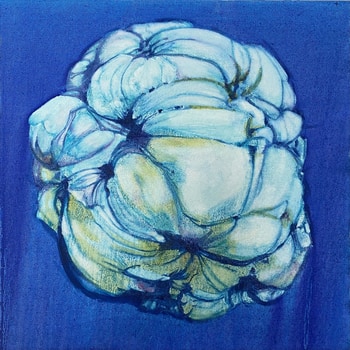 A fortune all for you par Paula MacArthur