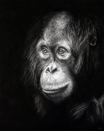 Les Yeux de la Sagesse by MagLM