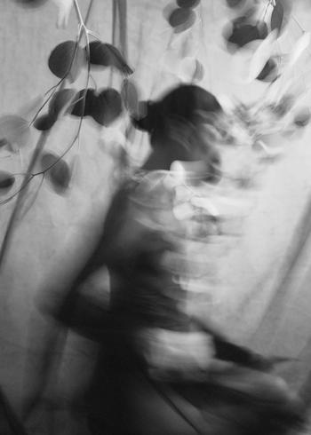  Veiled Whispers - IV by Xidong Luo