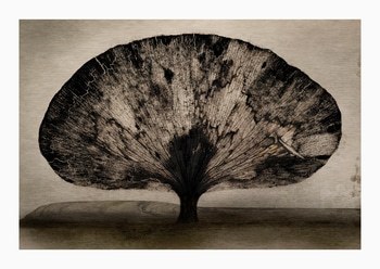 Trees #1 by Sovann Kim