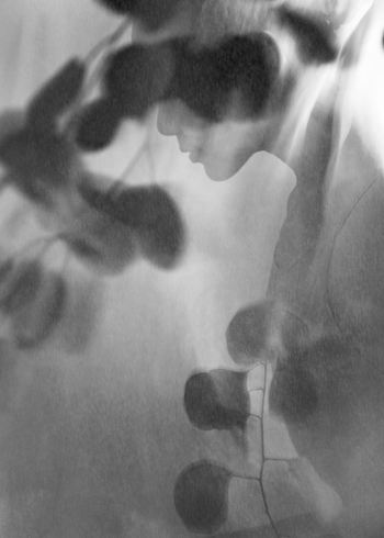  Veiled Whispers - I by Xidong Luo