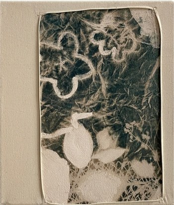 11125 by Susanna Klein