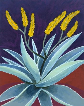 Aloe at Night von Michael Pfleghaar