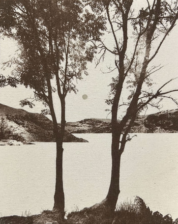 Night Forest par Sherrie-Leigh Jones