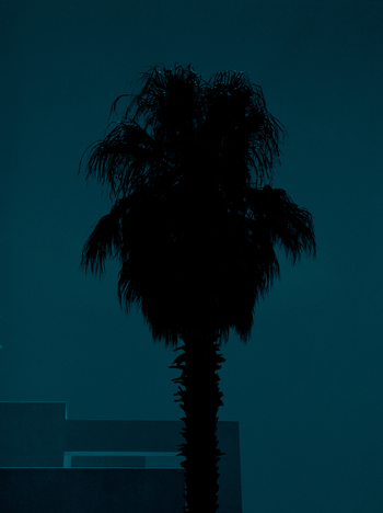 Echoes And Visions No. 4 by Andy Jon Morris