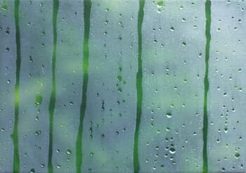 The in, the out par James Moore