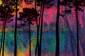 Forêt de pins le matin sur le lac  par Rodolphe Martinez