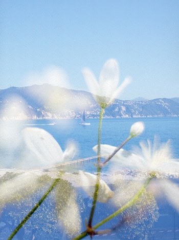 Gregoria par Jérôme Pergolesi